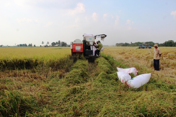 Cần liên kết chặt chẽ trong từng lĩnh vực cụ thể 